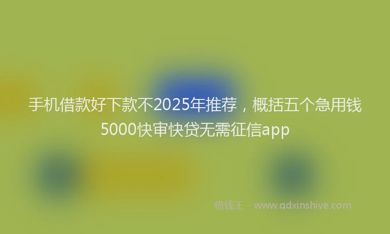 手机借款好下款不2025年推荐，概括五个急用钱5000快审快贷无需征信app