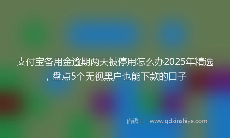 支付宝备用金逾期两天被停用怎么办2025年精选，盘点5个无视黑户也能下款的口子