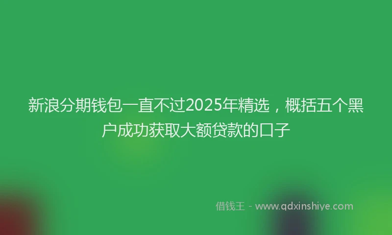 新浪分期钱包一直不过2025年精选，概括五个黑户成功获取大额贷款的口子