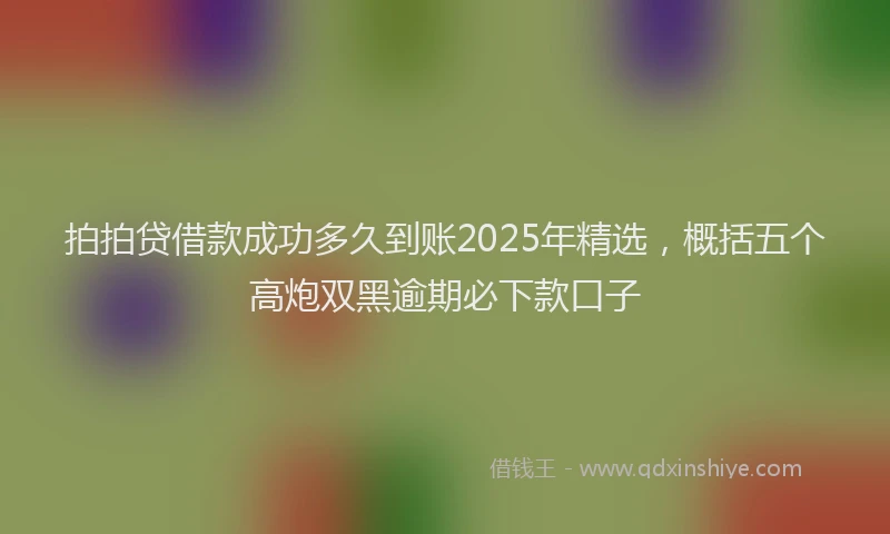拍拍贷借款成功多久到账2025年精选，概括五个高炮双黑逾期必下款口子
