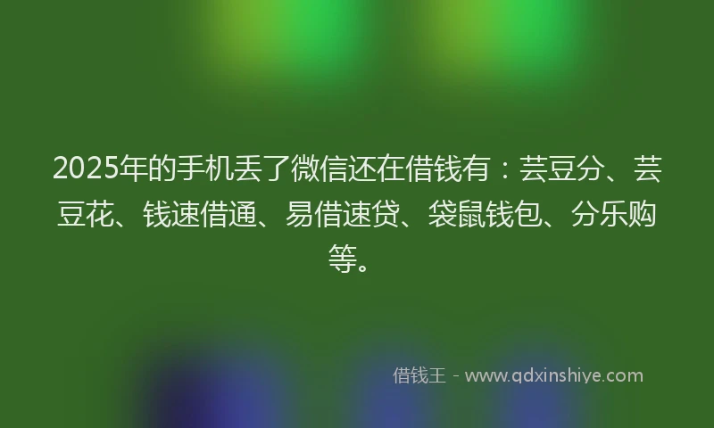 2025年的手机丢了微信还在借钱有：芸豆分、芸豆花、钱速借通、易借速贷、袋鼠钱包、分乐购等。