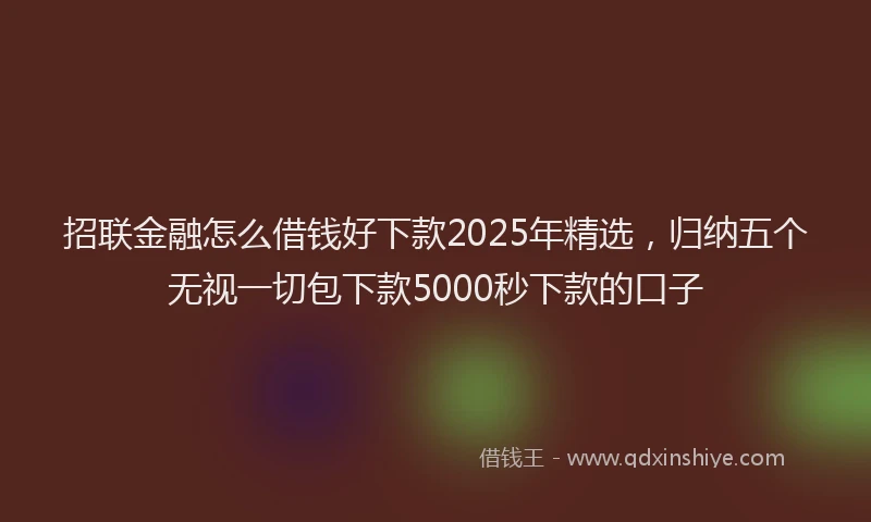 招联金融怎么借钱好下款2025年精选，归纳五个无视一切包下款5000秒下款的口子