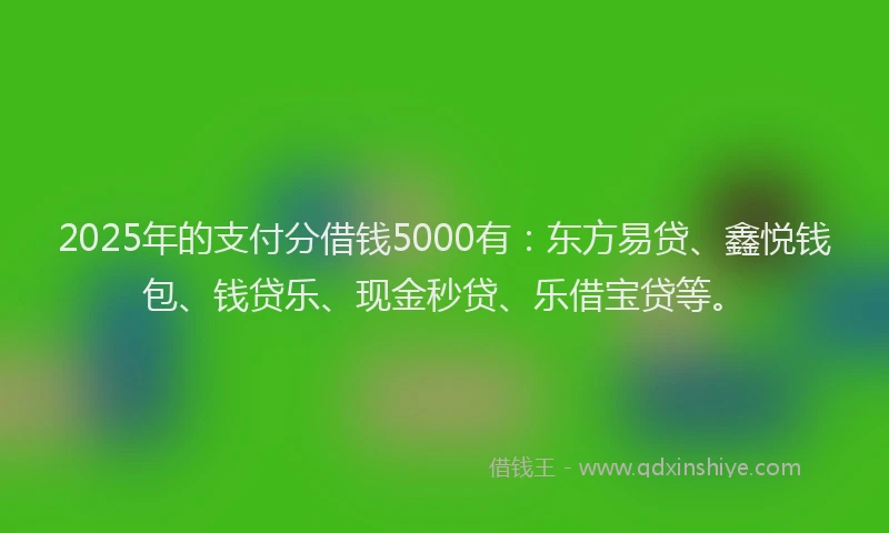 2025年的支付分借钱5000有：东方易贷、鑫悦钱包、钱贷乐、现金秒贷、乐借宝贷等。