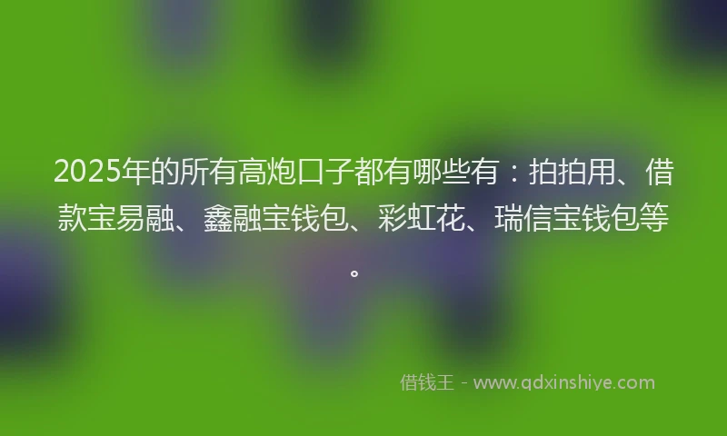 2025年的所有高炮口子都有哪些有：拍拍用、借款宝易融、鑫融宝钱包、彩虹花、瑞信宝钱包等。