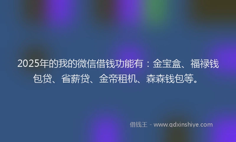 2025年的我的微信借钱功能有：金宝盒、福禄钱包贷、省薪贷、金帝租机、森森钱包等。