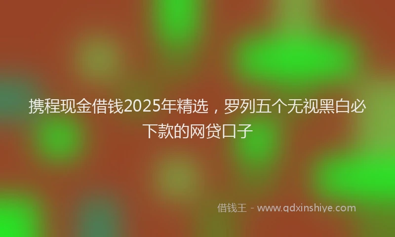 携程现金借钱2025年精选，罗列五个无视黑白必下款的网贷口子