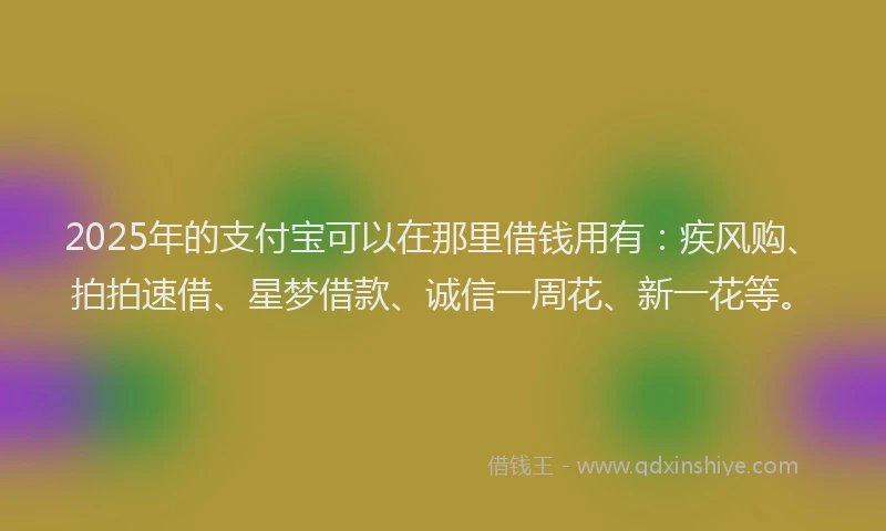 2025年的支付宝可以在那里借钱用有：疾风购、拍拍速借、星梦借款、诚信一周花、新一花等。
