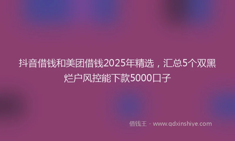 抖音借钱和美团借钱2025年精选，汇总5个双黑烂户风控能下款5000口子