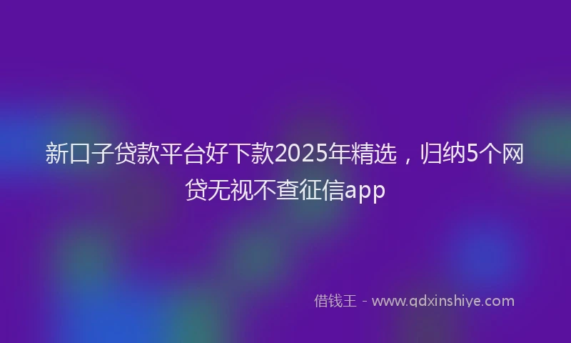 新口子贷款平台好下款2025年精选，归纳5个网贷无视不查征信app