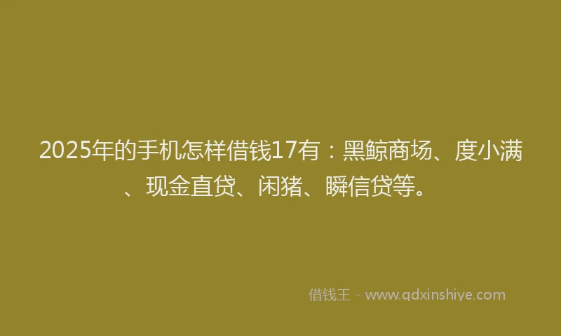 2025年的手机怎样借钱17有：黑鲸商场、度小满、现金直贷、闲猪、瞬信贷等。