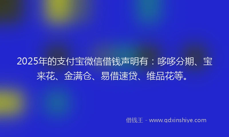 2025年的支付宝微信借钱声明有：哆哆分期、宝来花、金满仓、易借速贷、维品花等。