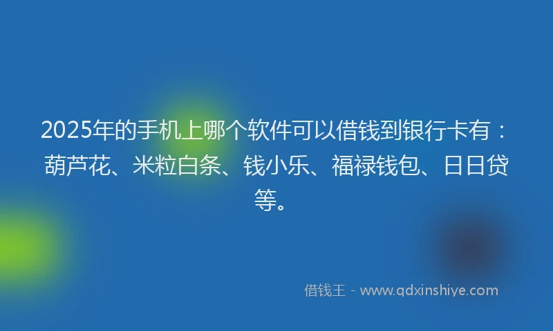 2025年的手机上哪个软件可以借钱到银行卡有：葫芦花、米粒白条、钱小乐、福禄钱包、日日贷等。