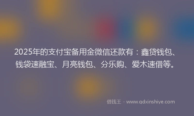 2025年的支付宝备用金微信还款有：鑫贷钱包、钱袋速融宝、月亮钱包、分乐购、爱木速借等。