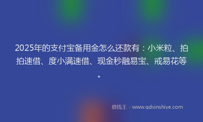 2025年的支付宝备用金怎么还款有：小米粒、拍拍速借、度小满速借、现金秒融易宝、戒易花等。