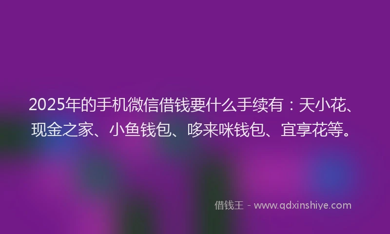 2025年的手机微信借钱要什么手续有：天小花、现金之家、小鱼钱包、哆来咪钱包、宜享花等。