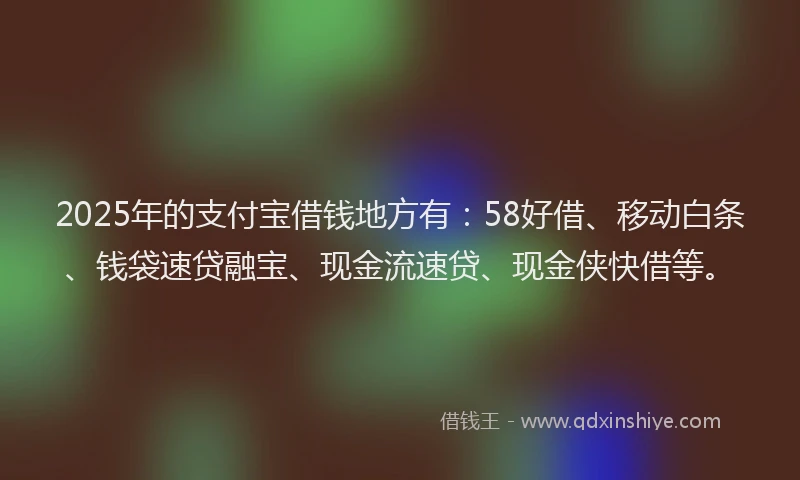 2025年的支付宝借钱地方有：58好借、移动白条、钱袋速贷融宝、现金流速贷、现金侠快借等。