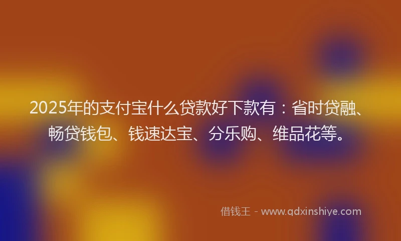 2025年的支付宝什么贷款好下款有：省时贷融、畅贷钱包、钱速达宝、分乐购、维品花等。