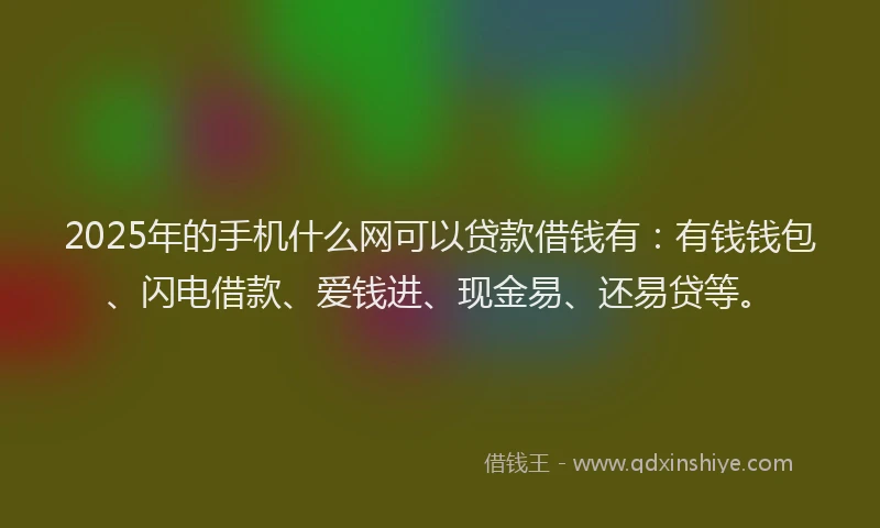 2025年的手机什么网可以贷款借钱有：有钱钱包、闪电借款、爱钱进、现金易、还易贷等。