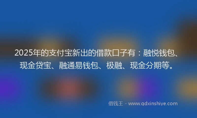 2025年的支付宝新出的借款口子有：融悦钱包、现金贷宝、融通易钱包、极融、现金分期等。