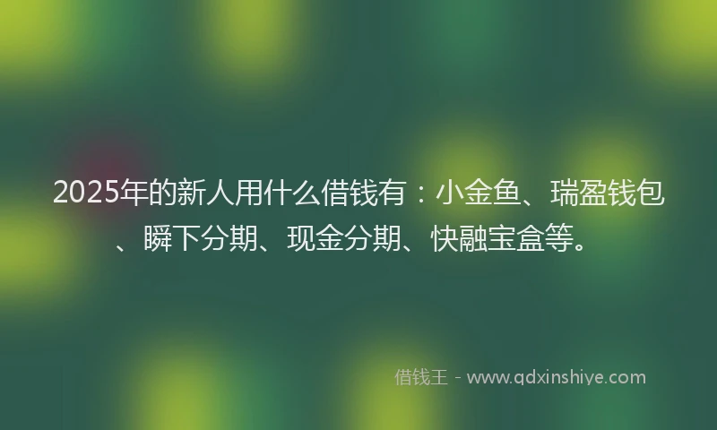 2025年的新人用什么借钱有：小金鱼、瑞盈钱包、瞬下分期、现金分期、快融宝盒等。