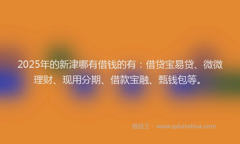 2025年的新津哪有借钱的有：借贷宝易贷、微微理财、现用分期、借款宝融、甄钱包等。
