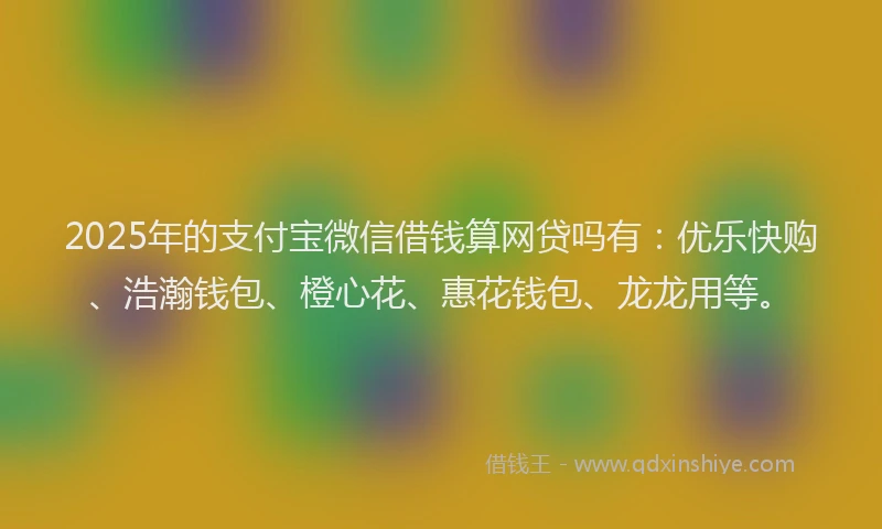 2025年的支付宝微信借钱算网贷吗有：优乐快购、浩瀚钱包、橙心花、惠花钱包、龙龙用等。