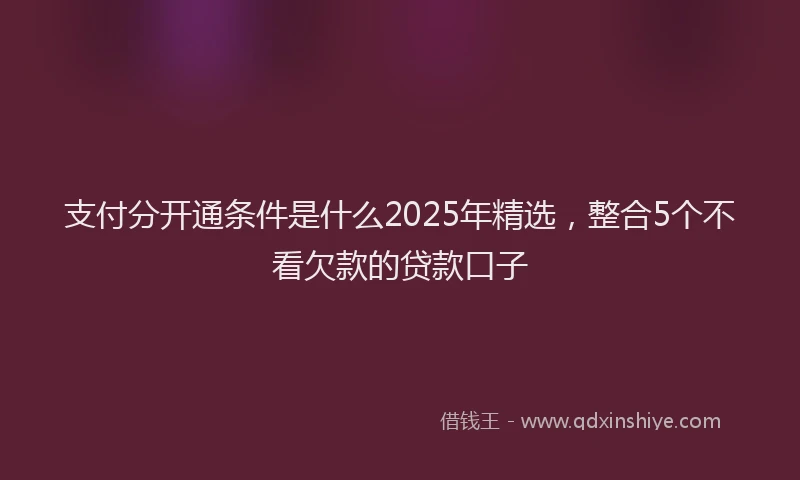 支付分开通条件是什么2025年精选，整合5个不看欠款的贷款口子