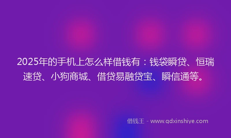 2025年的手机上怎么样借钱有：钱袋瞬贷、恒瑞速贷、小狗商城、借贷易融贷宝、瞬信通等。