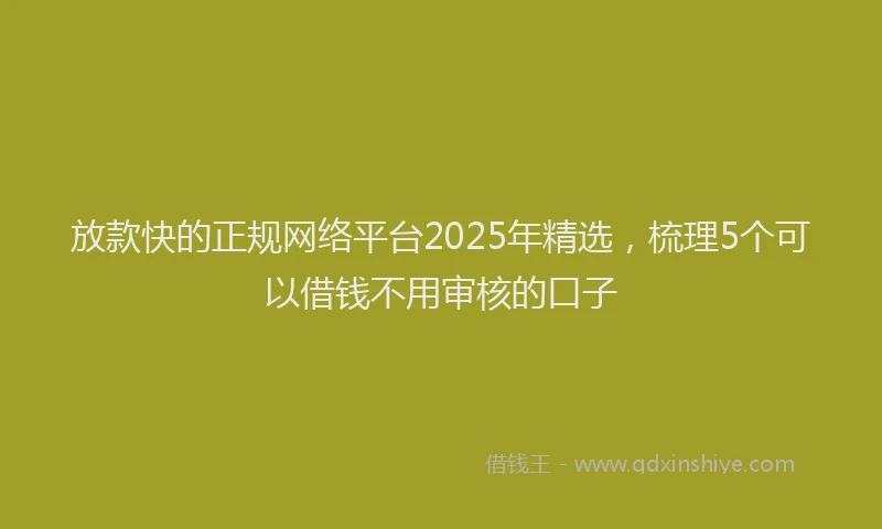 放款快的正规网络平台2025年精选，梳理5个可以借钱不用审核的口子