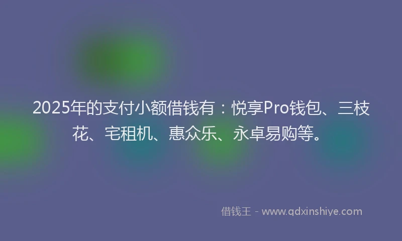 2025年的支付小额借钱有：悦享Pro钱包、三枝花、宅租机、惠众乐、永卓易购等。