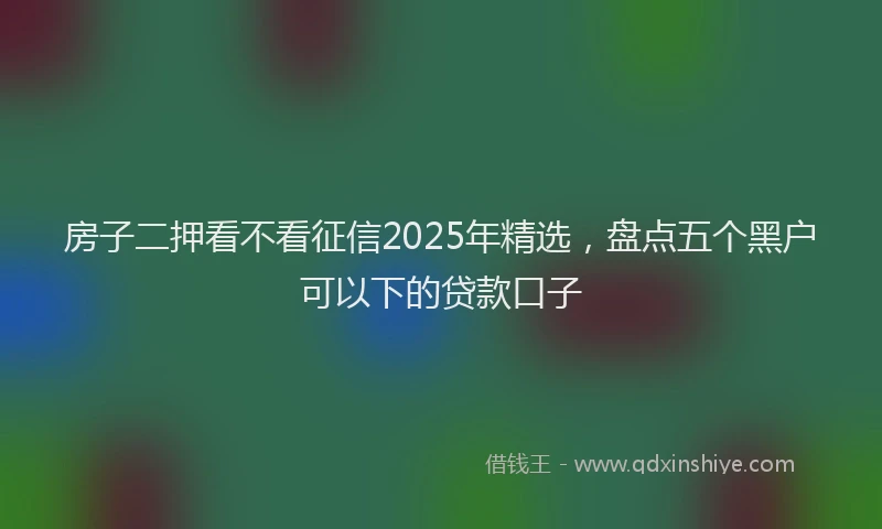 房子二押看不看征信2025年精选，盘点五个黑户可以下的贷款口子