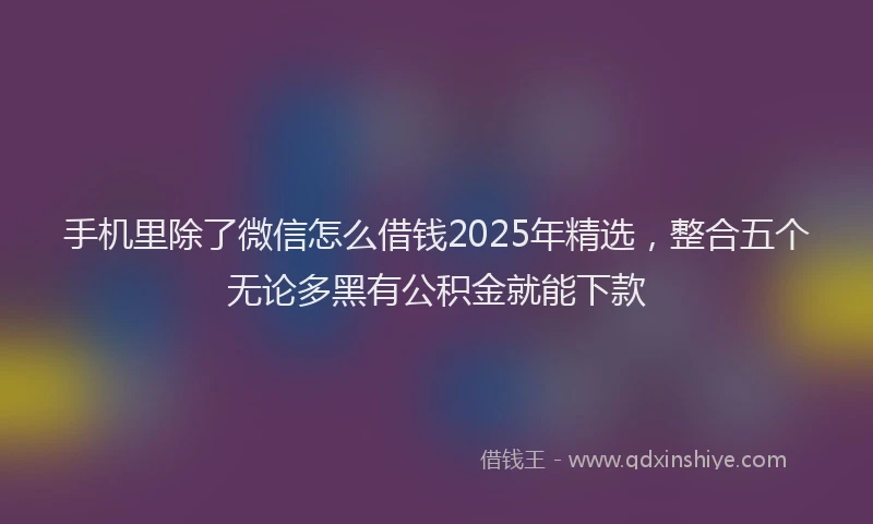 手机里除了微信怎么借钱2025年精选，整合五个无论多黑有公积金就能下款