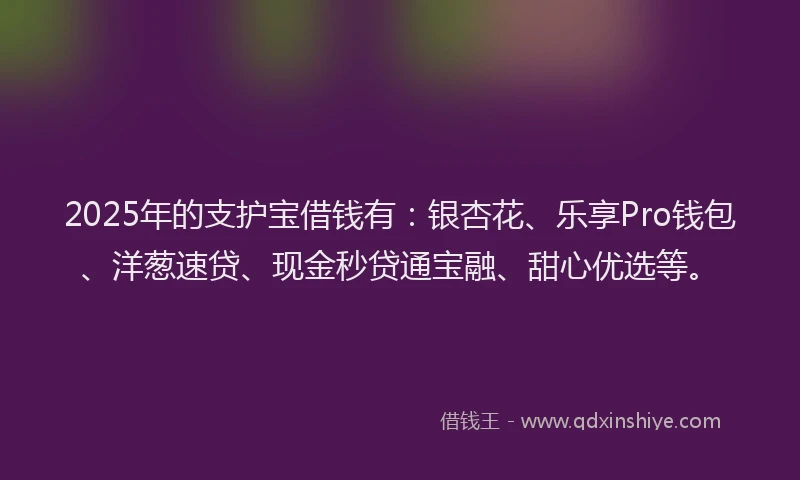 2025年的支护宝借钱有：银杏花、乐享Pro钱包、洋葱速贷、现金秒贷通宝融、甜心优选等。