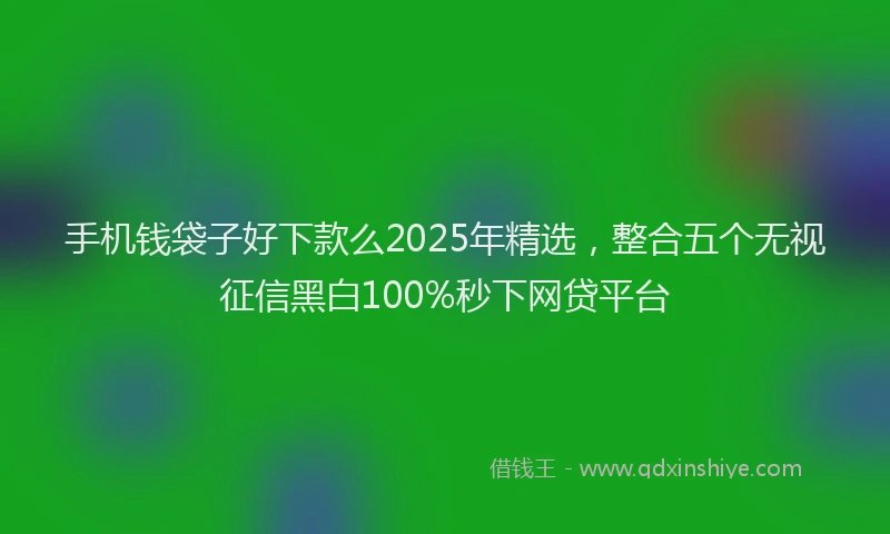 手机钱袋子好下款么2025年精选，整合五个无视征信黑白100%秒下网贷平台