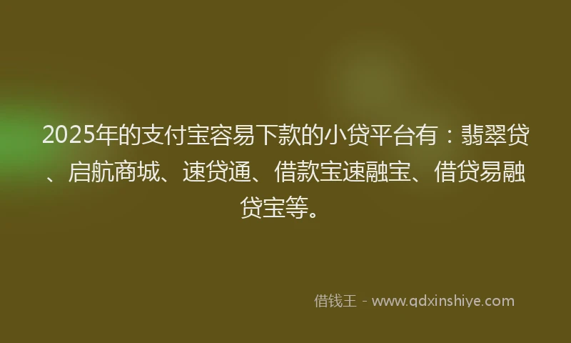 2025年的支付宝容易下款的小贷平台有：翡翠贷、启航商城、速贷通、借款宝速融宝、借贷易融贷宝等。