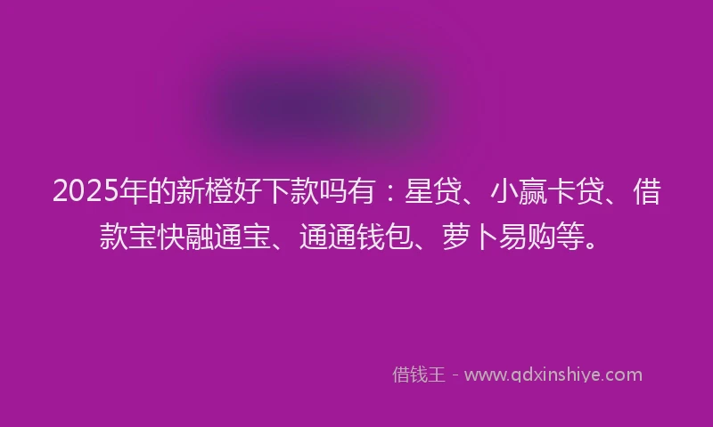 2025年的新橙好下款吗有：星贷、小赢卡贷、借款宝快融通宝、通通钱包、萝卜易购等。