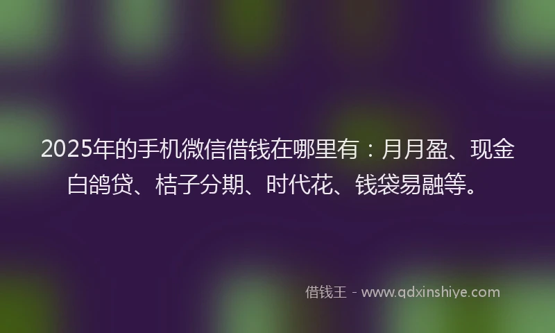 2025年的手机微信借钱在哪里有：月月盈、现金白鸽贷、桔子分期、时代花、钱袋易融等。