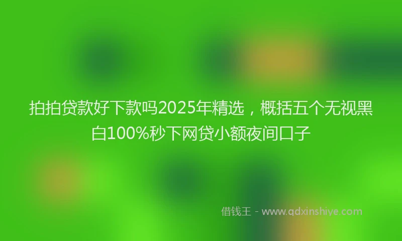 拍拍贷款好下款吗2025年精选，概括五个无视黑白100%秒下网贷小额夜间口子