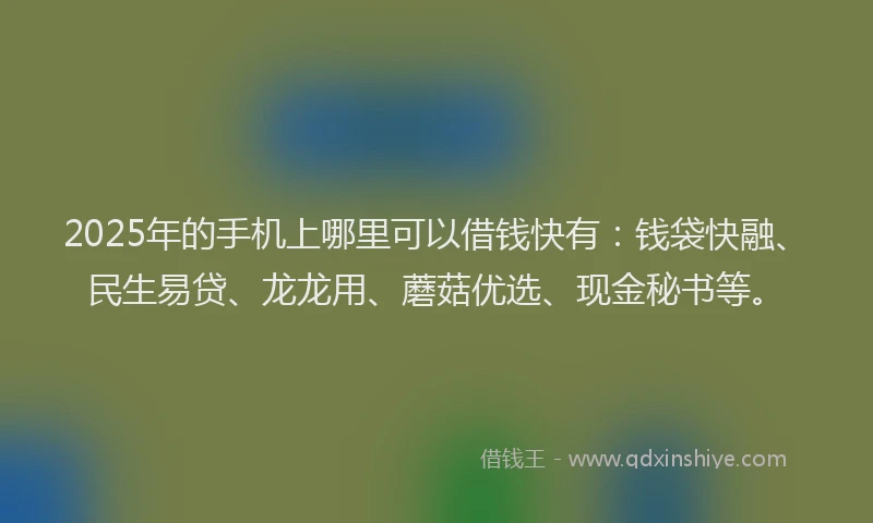 2025年的手机上哪里可以借钱快有：钱袋快融、民生易贷、龙龙用、蘑菇优选、现金秘书等。