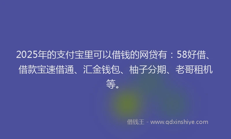 2025年的支付宝里可以借钱的网贷有：58好借、借款宝速借通、汇金钱包、柚子分期、老哥租机等。