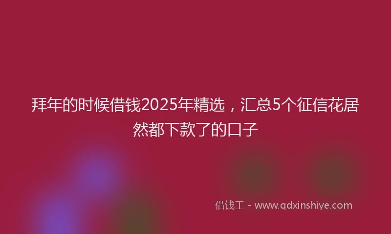 拜年的时候借钱2025年精选，汇总5个征信花居然都下款了的口子