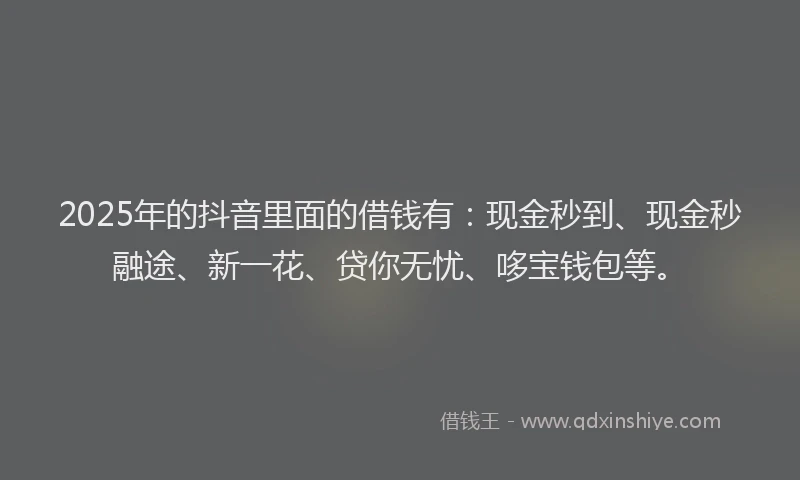 2025年的抖音里面的借钱有：现金秒到、现金秒融途、新一花、贷你无忧、哆宝钱包等。