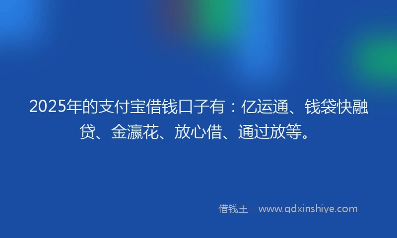 2025年的支付宝借钱口子有：亿运通、钱袋快融贷、金瀛花、放心借、通过放等。