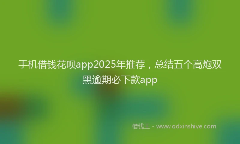 手机借钱花呗app2025年推荐，总结五个高炮双黑逾期必下款app