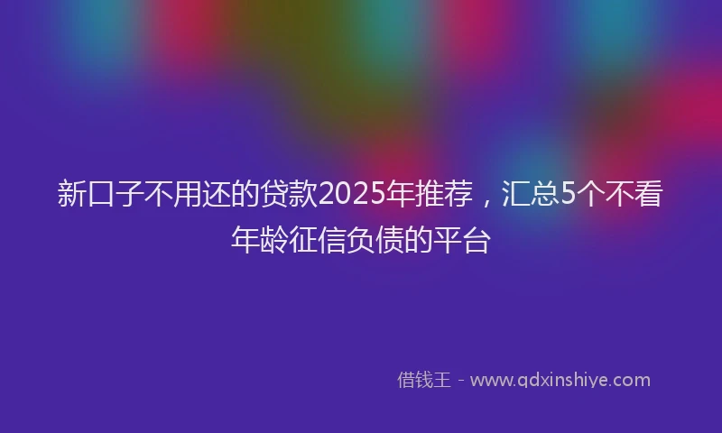 新口子不用还的贷款2025年推荐，汇总5个不看年龄征信负债的平台