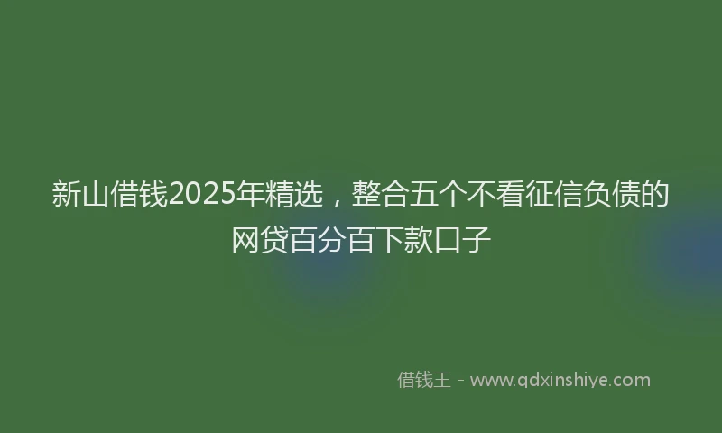 新山借钱2025年精选，整合五个不看征信负债的网贷百分百下款口子