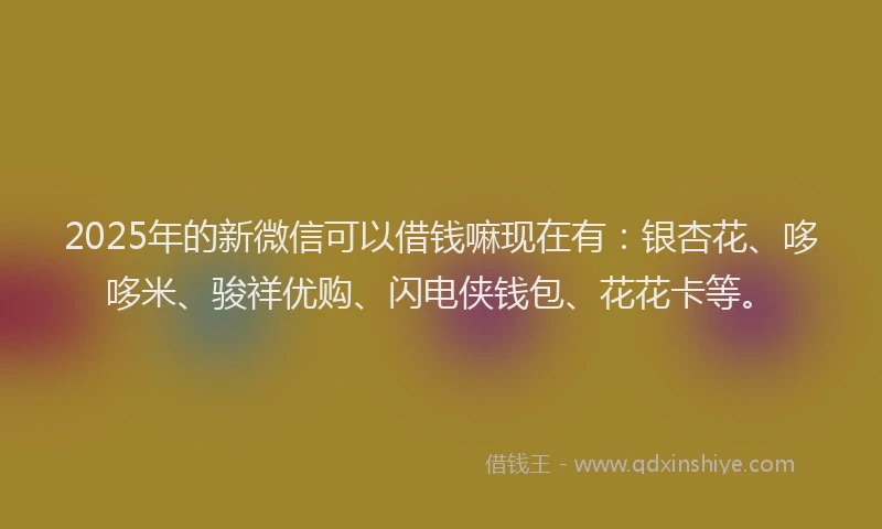 2025年的新微信可以借钱嘛现在有：银杏花、哆哆米、骏祥优购、闪电侠钱包、花花卡等。