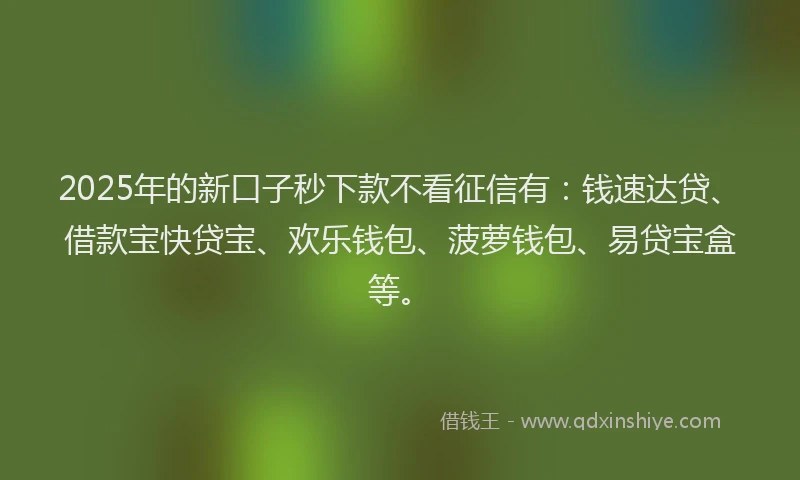 2025年的新口子秒下款不看征信有：钱速达贷、借款宝快贷宝、欢乐钱包、菠萝钱包、易贷宝盒等。