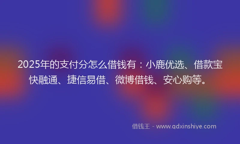2025年的支付分怎么借钱有：小鹿优选、借款宝快融通、捷信易借、微博借钱、安心购等。
