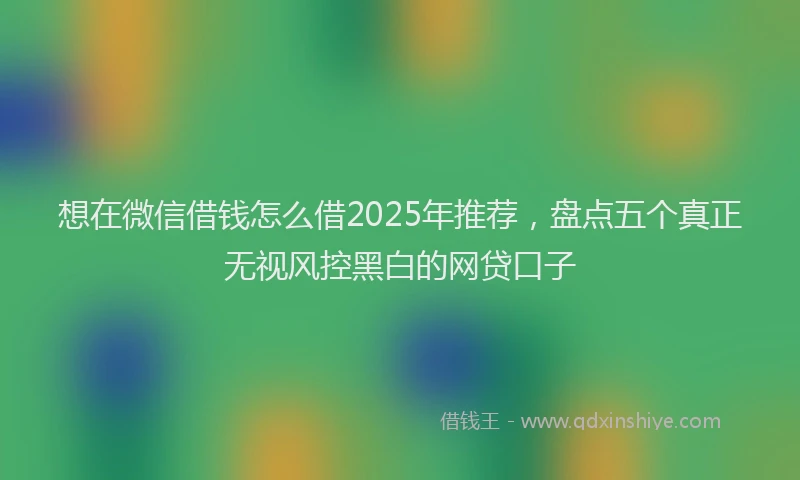 想在微信借钱怎么借2025年推荐，盘点五个真正无视风控黑白的网贷口子
